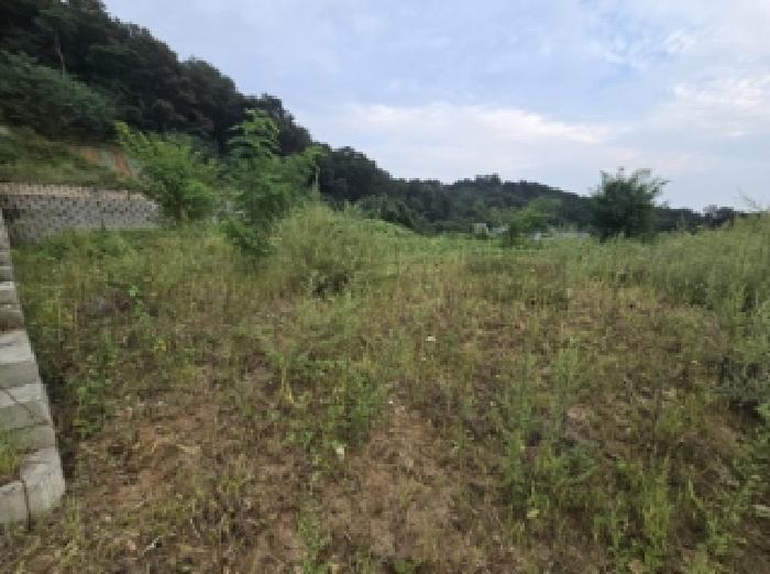 충북 진천군 광혜원면 도로 경매 물건 사진