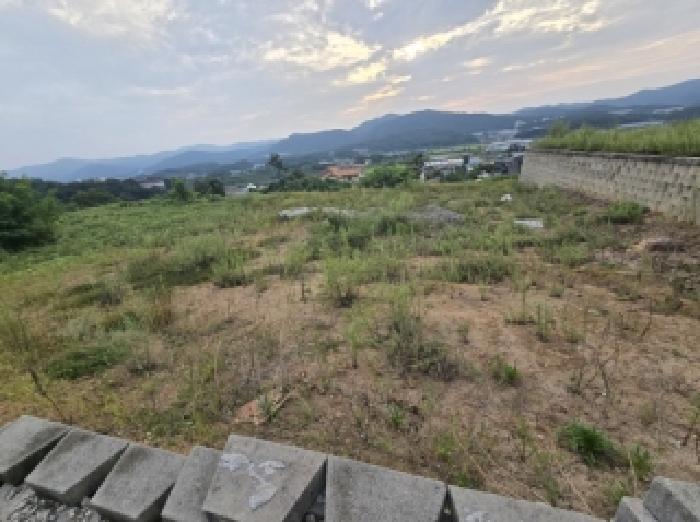 충북 진천군 광혜원면 도로 경매 물건 사진 2 · 2025타경4100