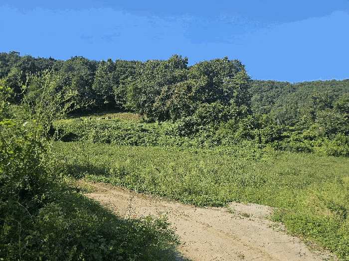 충청북도 괴산군 청안면 청용리 115 답 경매 물건 사진