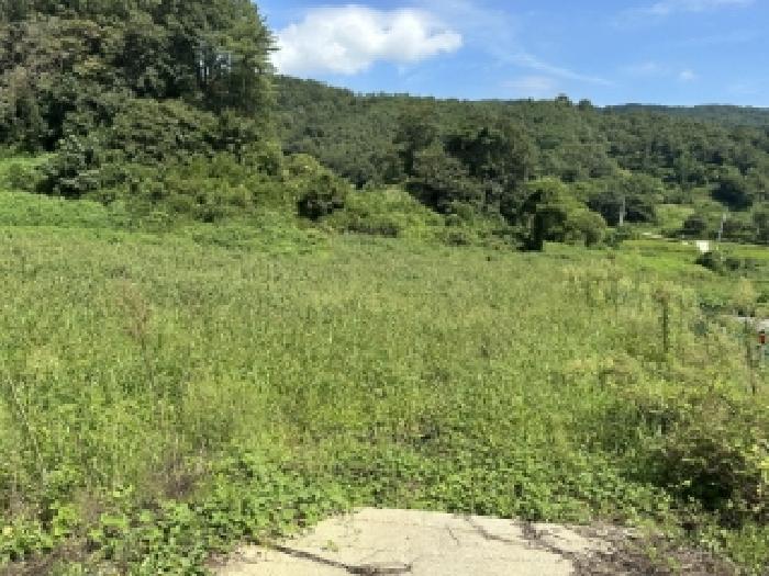 충북 괴산군 청안면 답 경매 물건 사진 3 · 2025타경4278