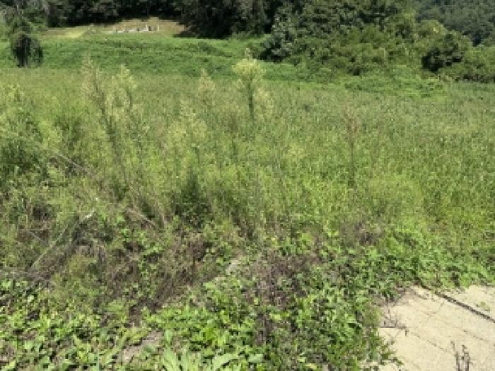충북 괴산군 청안면 답 경매 물건 사진 6 · 2025타경4278