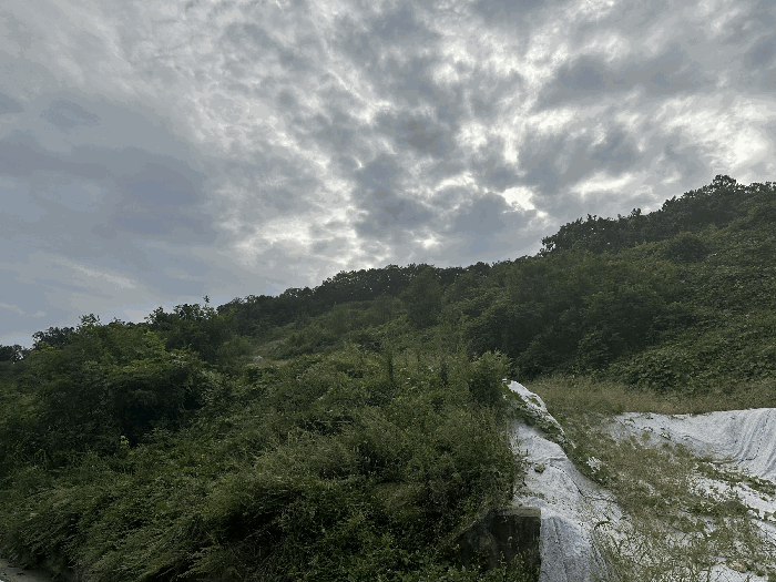 충북 괴산군 괴산읍 임야 경매 물건 사진 3 · 2025타경4513