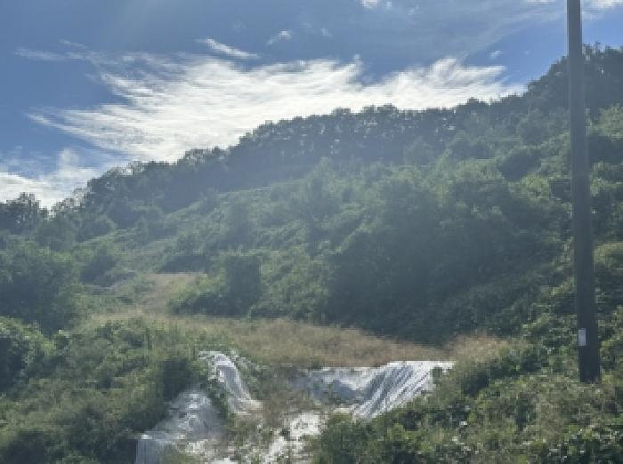 충북 괴산군 괴산읍 임야 경매 물건 사진