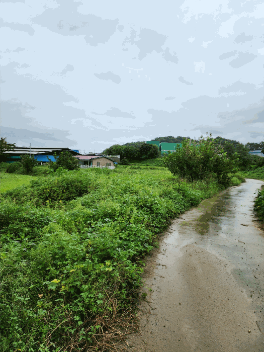 충북 청주시 청원구 북이면 답 경매 물건 사진 4 · 2025타경4551