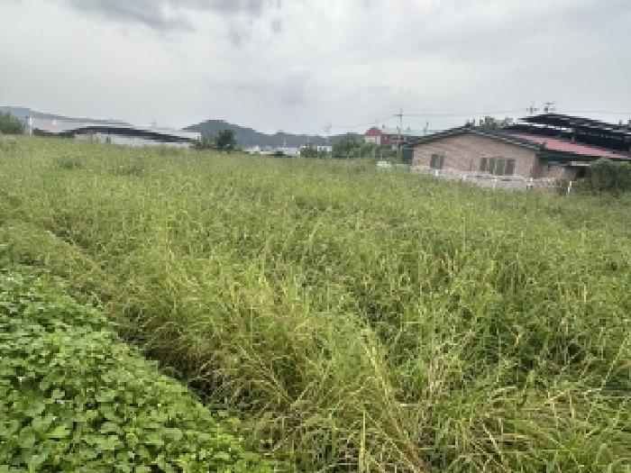 충북 청주시 청원구 북이면 답 경매 물건 사진