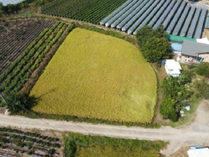 충북 보은군 산외면 답 경매 물건 사진 6 · 2025타경4698