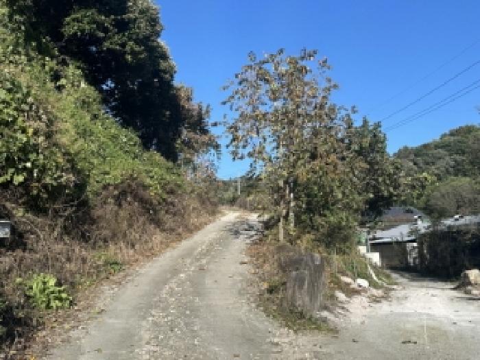 충북 괴산군 장연면 전 경매 물건 사진
