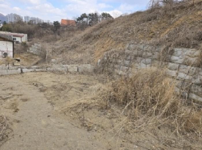 충북 청주시 상당구 용정동 과수원 경매 물건 사진