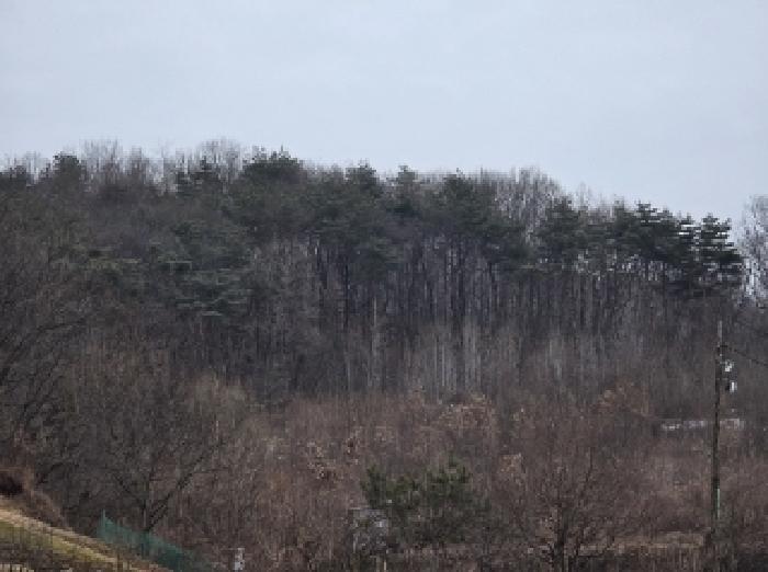 충북 청주시 상당구 미원면 임야 경매 물건 사진 5 · 2025타경50530