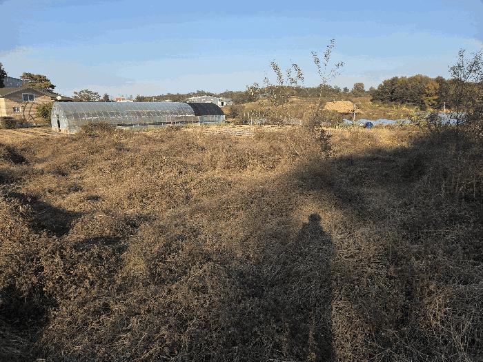 충북 진천군 덕산읍 묘지 경매 물건 사진 3 · 2025타경5073