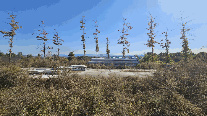 충북 청주시 흥덕구 옥산면 대지 경매 물건 사진 6 · 2025타경5097