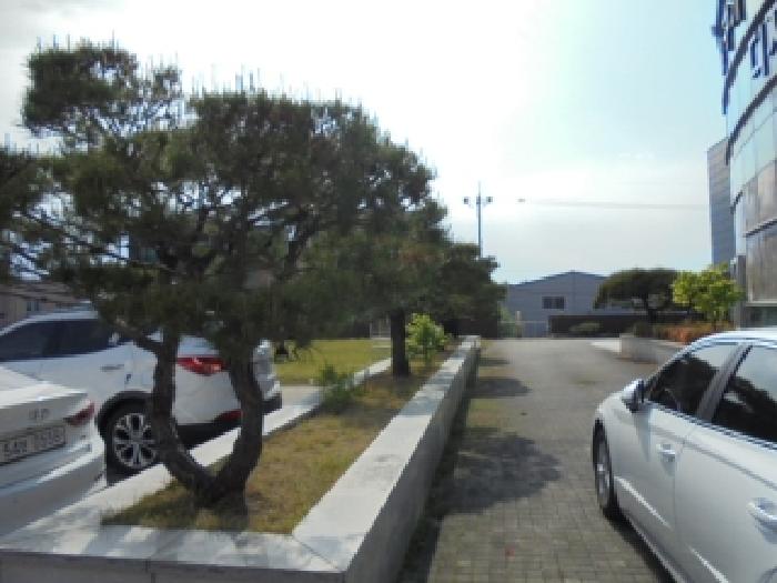 충북 청주시 흥덕구 봉명동 자동차관련시설 경매 물건 사진 4 · 2025타경51170