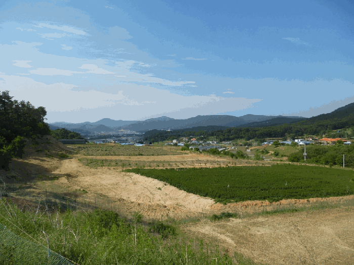 충청북도 청주시 상당구 가덕면 수곡리 산52-5 임야 경매 물건 사진