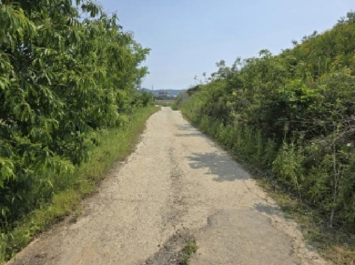 충북 청주시 상당구 가덕면 임야 경매 물건 사진
