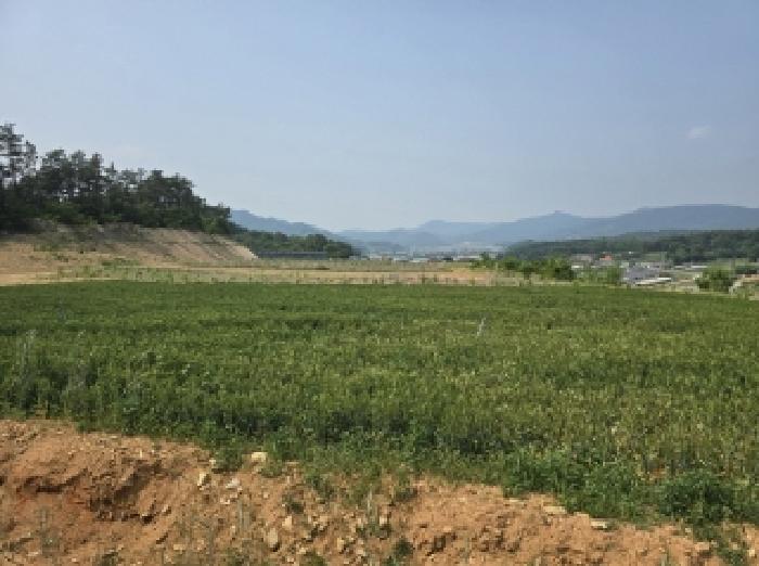 충북 청주시 상당구 가덕면 임야 경매 물건 사진 3 · 2025타경51229