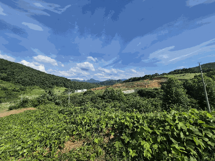 충청북도 괴산군 청천면 금평리 20-1 전 경매 물건 사진