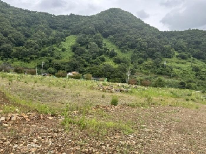 충북 괴산군 청천면 전 경매 물건 사진 6 · 2025타경51420