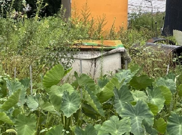 충북 괴산군 감물면 답 경매 물건 사진 5 · 2025타경51536