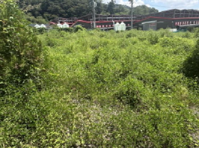 충북 괴산군 소수면 창고시설 경매 물건 사진 2 · 2025타경51572