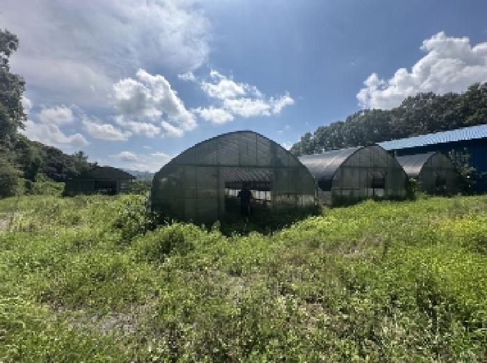 충북 괴산군 소수면 창고시설 경매 물건 사진 4 · 2025타경51572