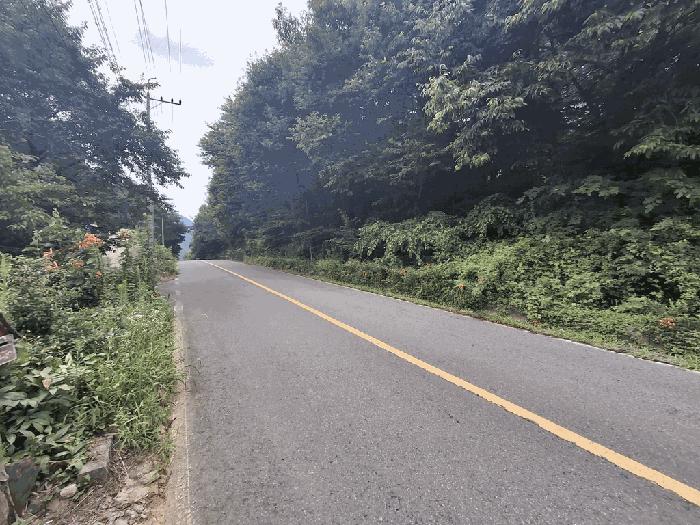 충청북도 괴산군 청천면 후영리 산21 임야 경매 물건 사진