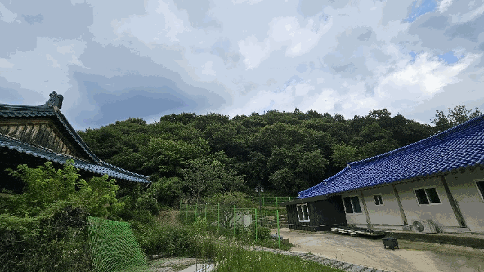 충청북도 괴산군 청안면 운곡리 산29-2 전 경매 물건 사진