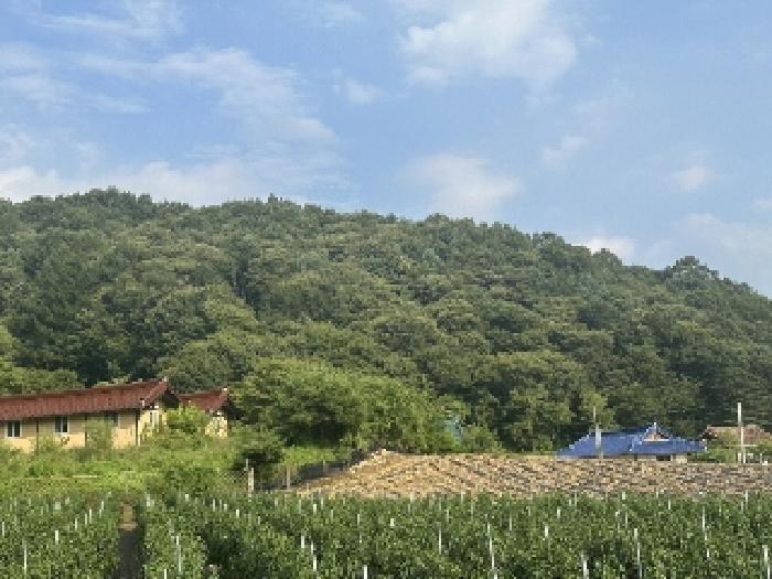 충북 괴산군 청안면 전 경매 물건 사진