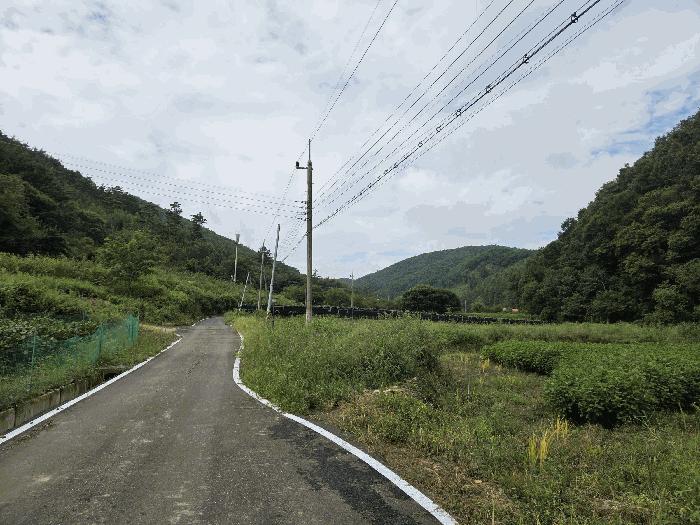 충북 보은군 산외면 답 경매 물건 사진 5 · 2025타경51637
