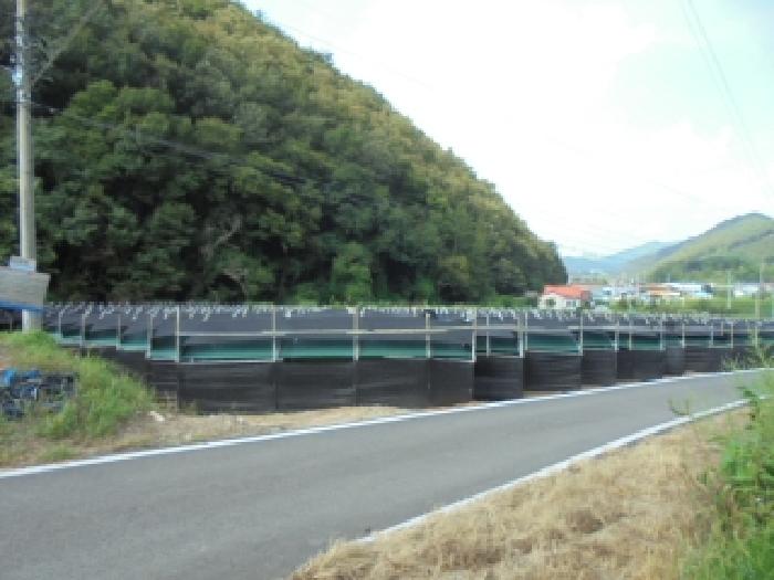 충북 보은군 산외면 답 경매 물건 사진 4 · 2025타경51637