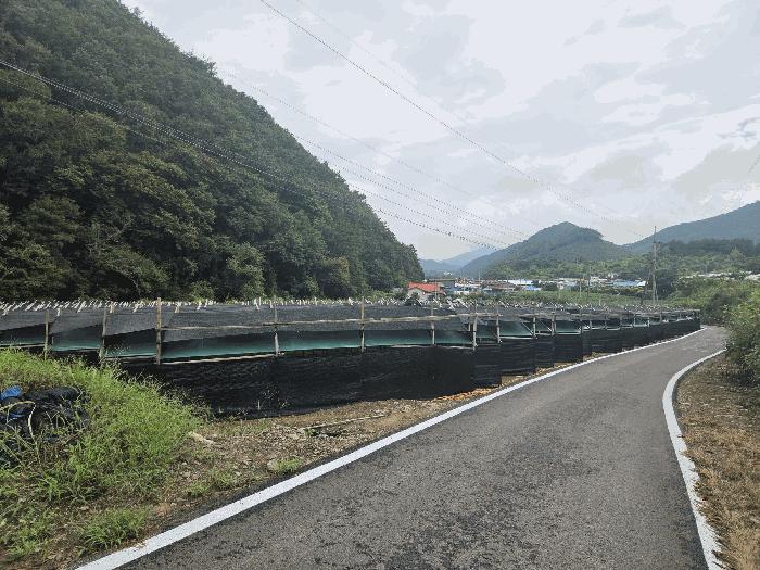 충북 보은군 산외면 답 경매 물건 사진 2 · 2025타경51637