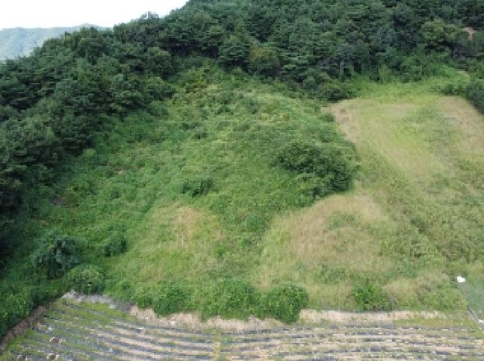 충북 보은군 산외면 전 경매 물건 사진