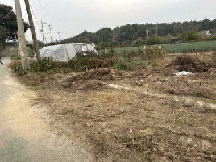 충북 증평군 증평읍 답 경매 물건 사진 3 · 2025타경5165