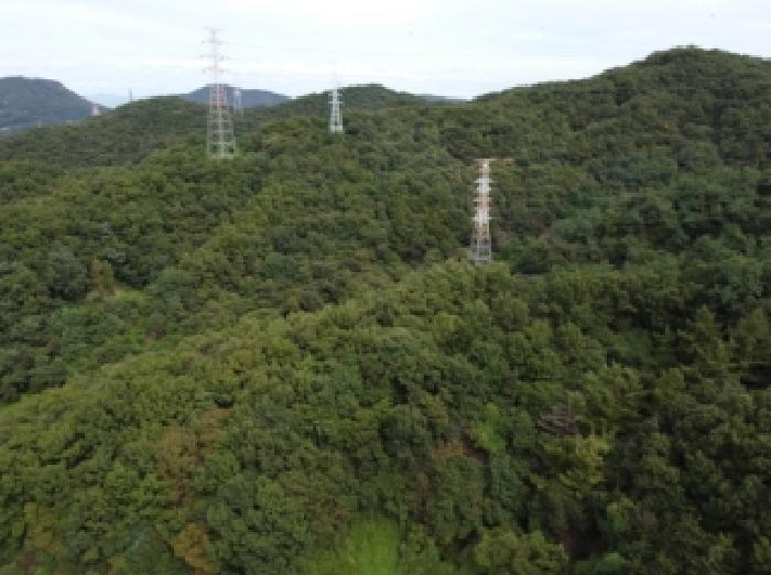 충북 진천군 초평면 임야 경매 물건 사진 5 · 2025타경51650