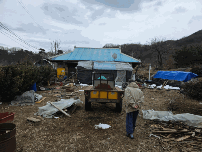 충북 보은군 보은읍 대지 경매 물건 사진 5 · 2025타경51661