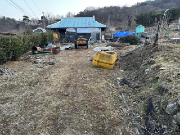 충북 보은군 보은읍 대지 경매 물건 사진
