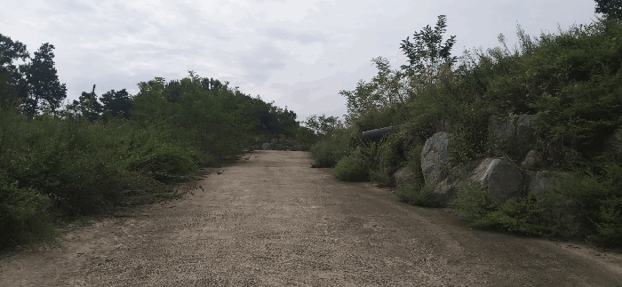 충북 괴산군 청안면 전 경매 물건 사진 6 · 2025타경51689