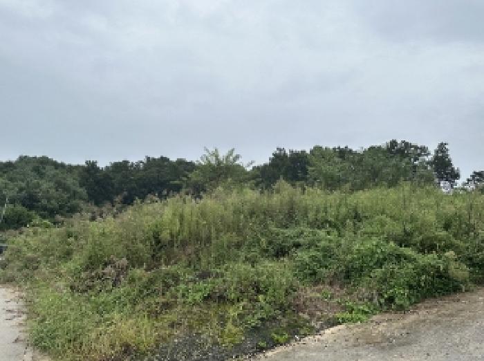 충북 괴산군 청안면 전 경매 물건 사진 2 · 2025타경51689