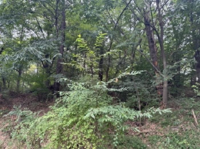 충북 청주시 청원구 율량동 임야 경매 물건 사진 2 · 2025타경51695
