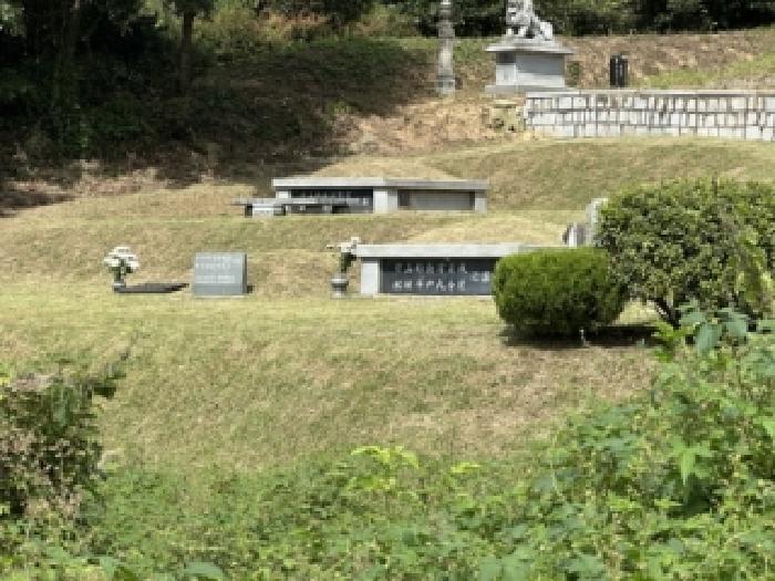 충북 증평군 도안면 전 경매 물건 사진