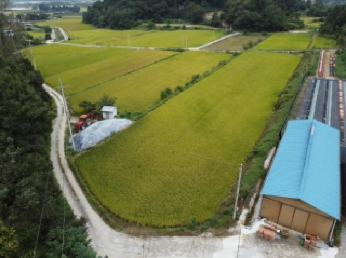 충북 보은군 탄부면 답 경매 물건 사진 4 · 2025타경51784