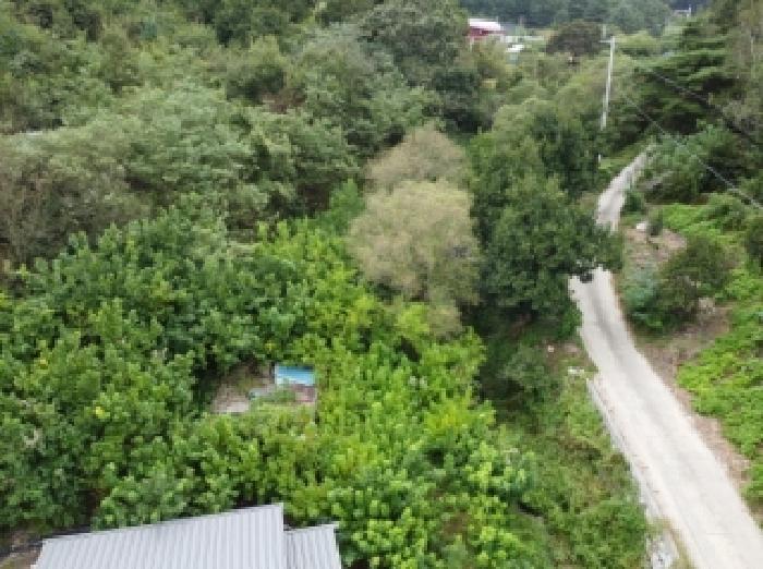 충북 보은군 탄부면 답 경매 물건 사진 5 · 2025타경51784