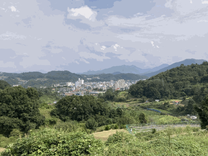 충북 괴산군 괴산읍 전 경매 물건 사진 6 · 2025타경51795
