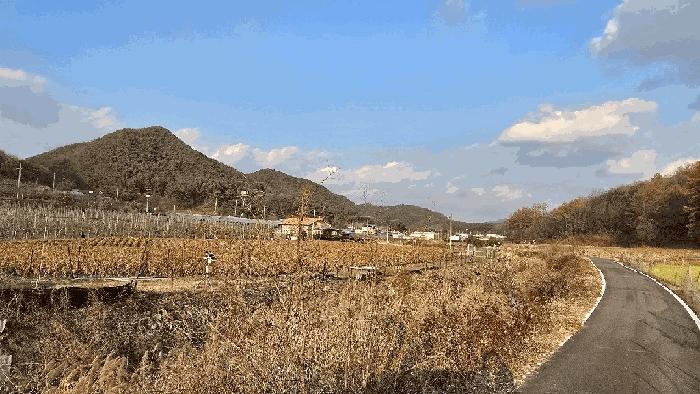 충청북도 보은군 산외면 산대리 248-4 전 경매 물건 사진