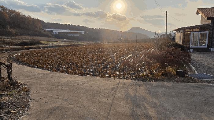 충북 보은군 산외면 단독주택 경매 물건 사진 3 · 2025타경51839