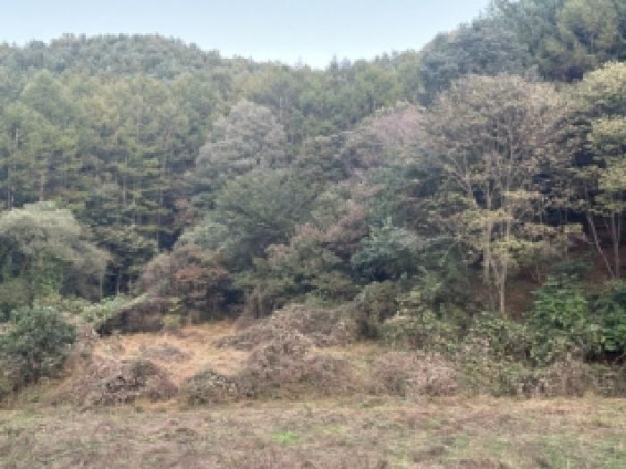 충북 괴산군 청안면 전 경매 물건 사진 6 · 2025타경51874