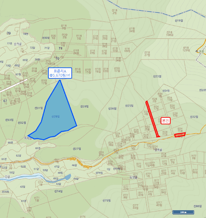 충북 청주시 상당구 남일면 임야 경매 물건 사진 5 · 2025타경51876