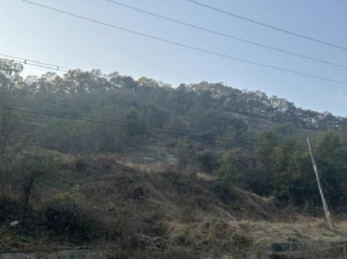 충북 괴산군 괴산읍 임야 경매 물건 사진