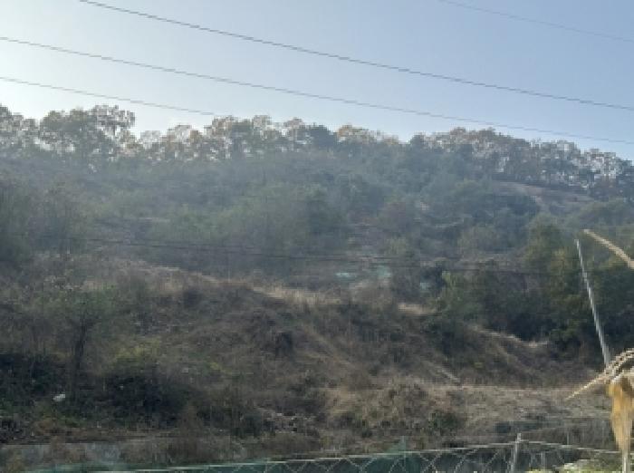 충북 괴산군 괴산읍 임야 경매 물건 사진 2 · 2025타경51921