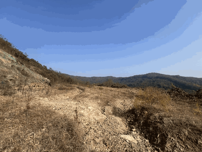 충북 괴산군 괴산읍 임야 경매 물건 사진 3 · 2025타경51921