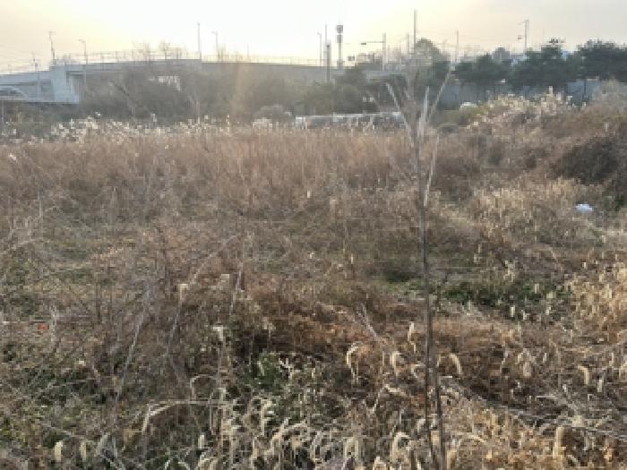 충청북도 증평군 증평읍 초중리 344-1 답 경매 물건 사진